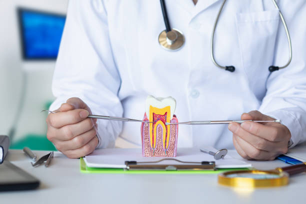 Best Emergency Treatment for Toothache in Troutdale, OR